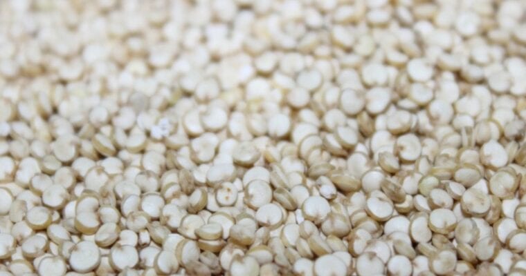 Quinoa Protein Content vs Meat | Health Benefits